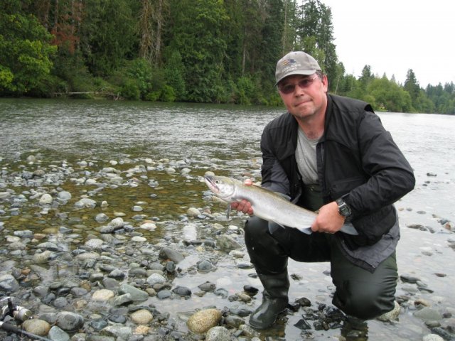 Sockeye